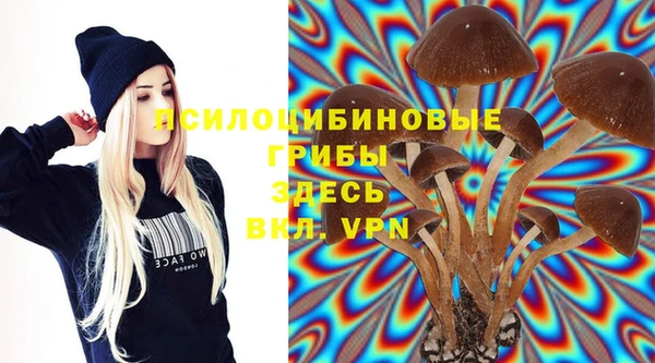 соль ск Нея