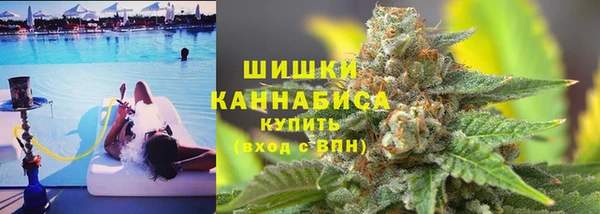 соль ск Нея