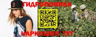 ECSTASY Заводоуковск