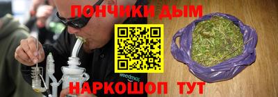 прущие грибы Абакан
