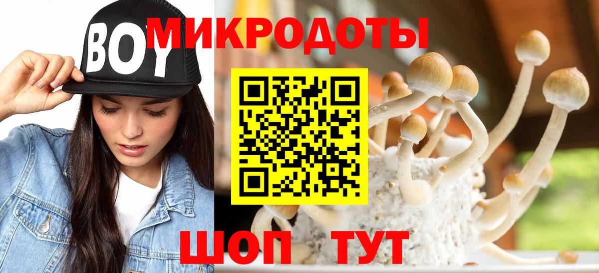 Галлюциногенные грибы Cubensis  Вход с VPN  Псилоцибиновые грибы прущие грибы  Кулебаки 
