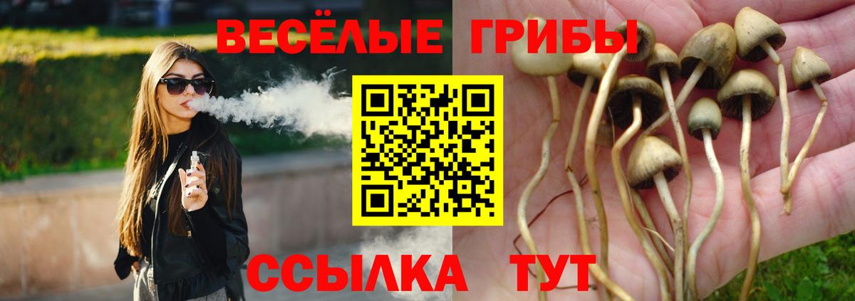 Галлюциногенные грибы ЛСД  Галлюциногенные грибы ЛСД  Кулебаки 